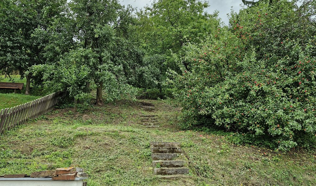 Prodej domu 63 m² s pozemkem 637 m², Velká Lhota – náhled fotky 4
