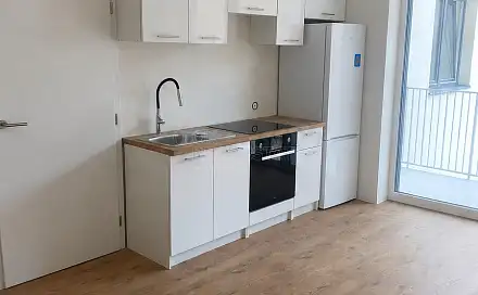 Pronájem bytu 1+kk 28 m², Křenová, Brno - Trnitá