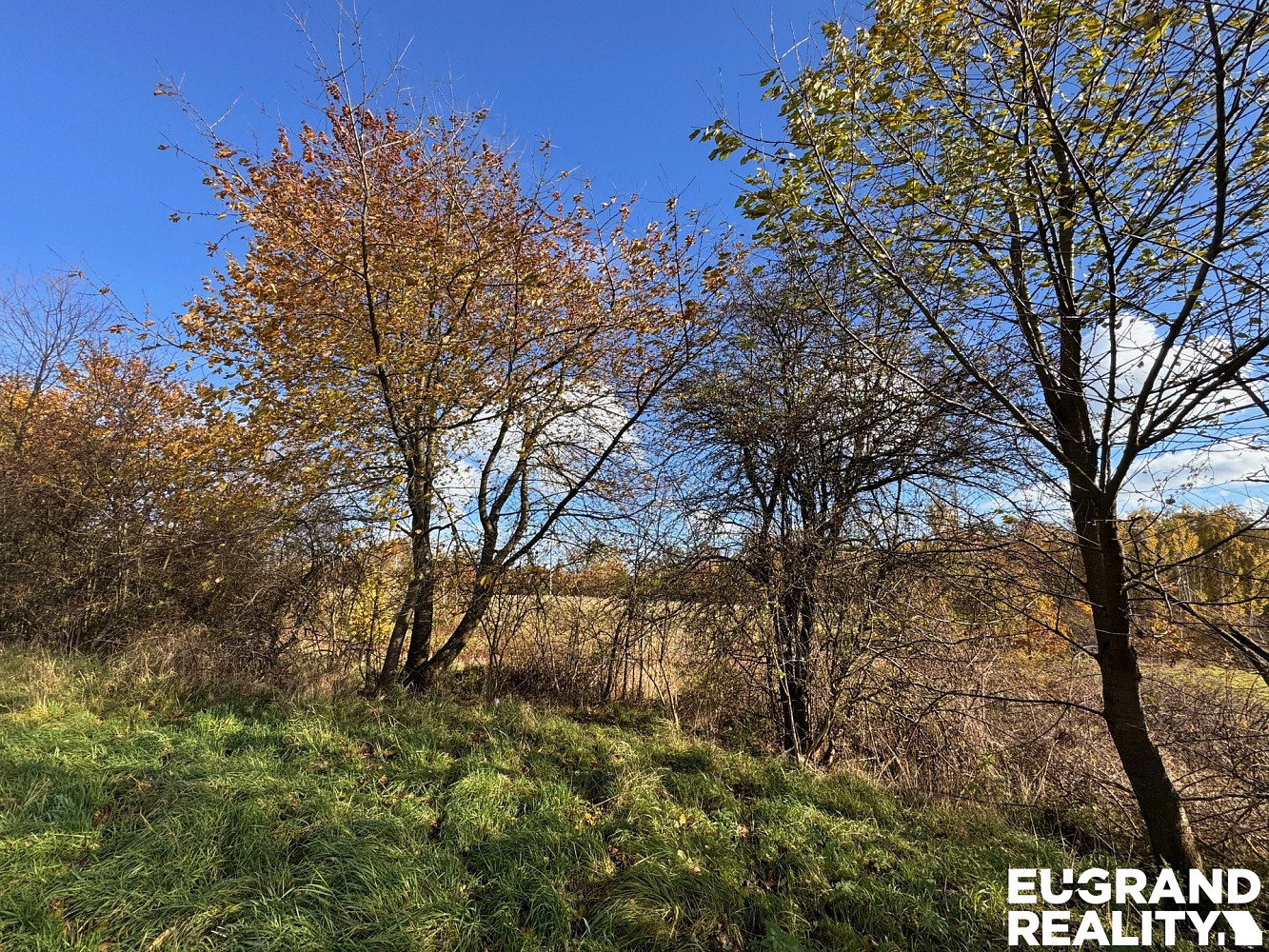 Prodej stavebního pozemku 20 638 m² – fotografie 4