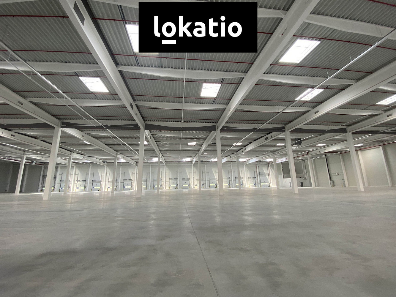 Pronájem skladovacích prostor 5 359 m² — photo 2