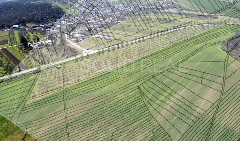 Prodej pole 24 643 m², Horní Bojanovice – náhled fotky 9