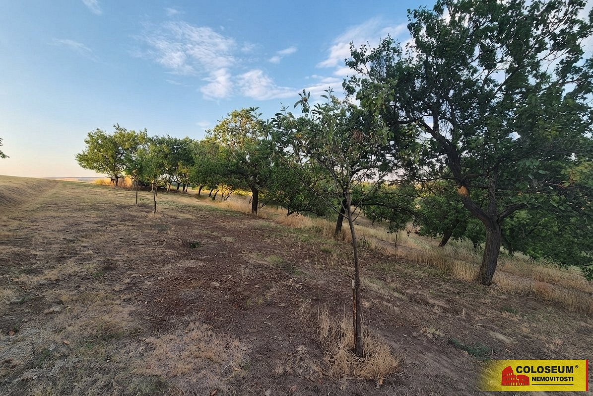 Prodej pole 872 m² – fotografie 3