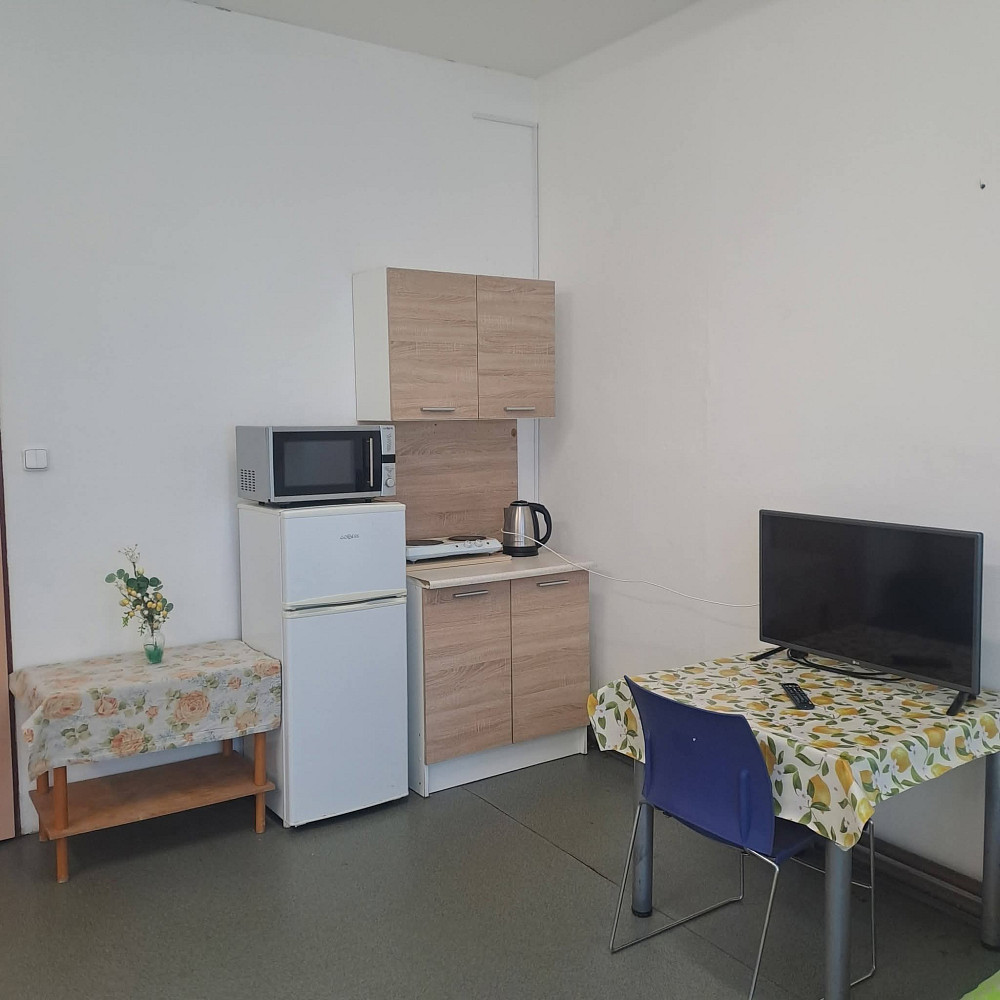 Pronájem bytu 1+kk 40 m² – pohled 4
