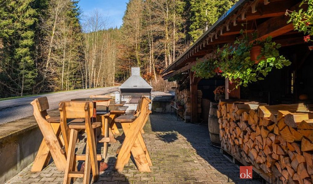 Prodej domu 650 m² s pozemkem 906 m², Strážné – náhled fotky 44