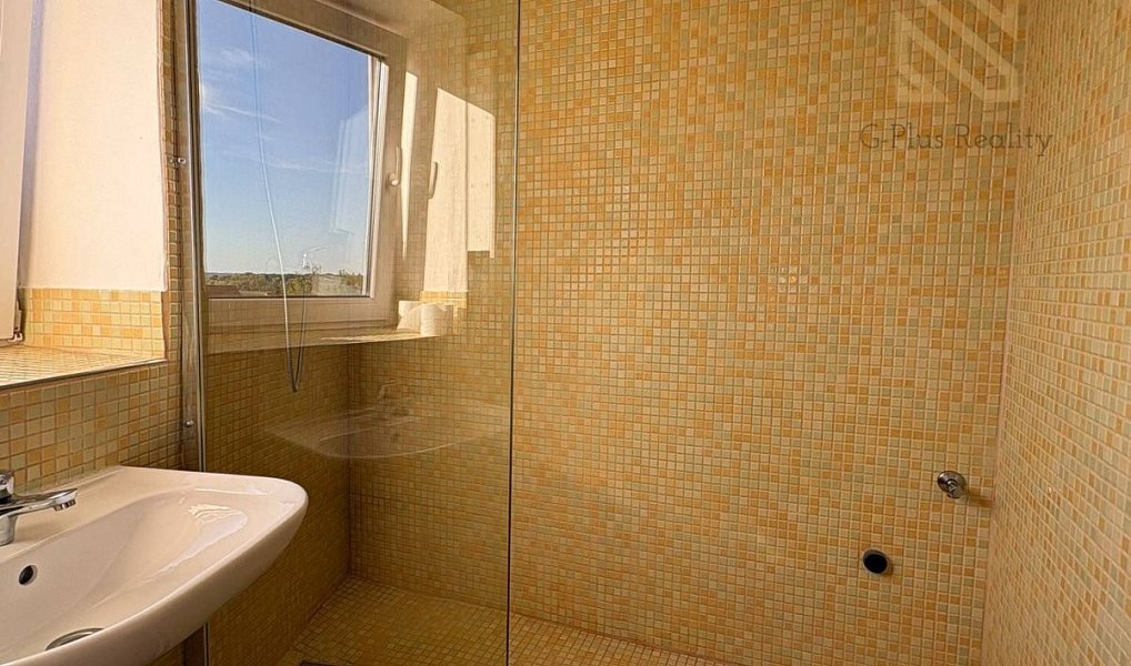 Pronájem bytu 1+kk 48 m², Černiv – náhled fotky 7