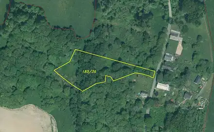 Prodej pole 8 031 m², Rozvadov - Nové Domky, okres Tachov