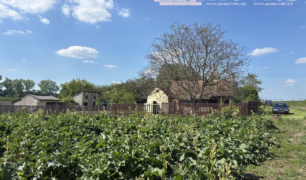 Prodej domu 60 m² s pozemkem 1 783 m², Čáslav – náhled fotky 13