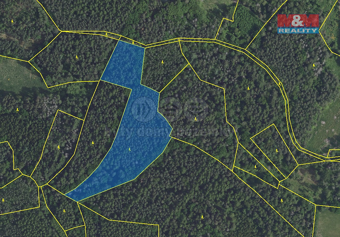 Prodej lesa 16 220 m² – fotografie 4