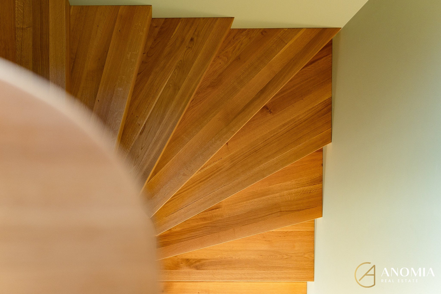 Fotka 15 z 30