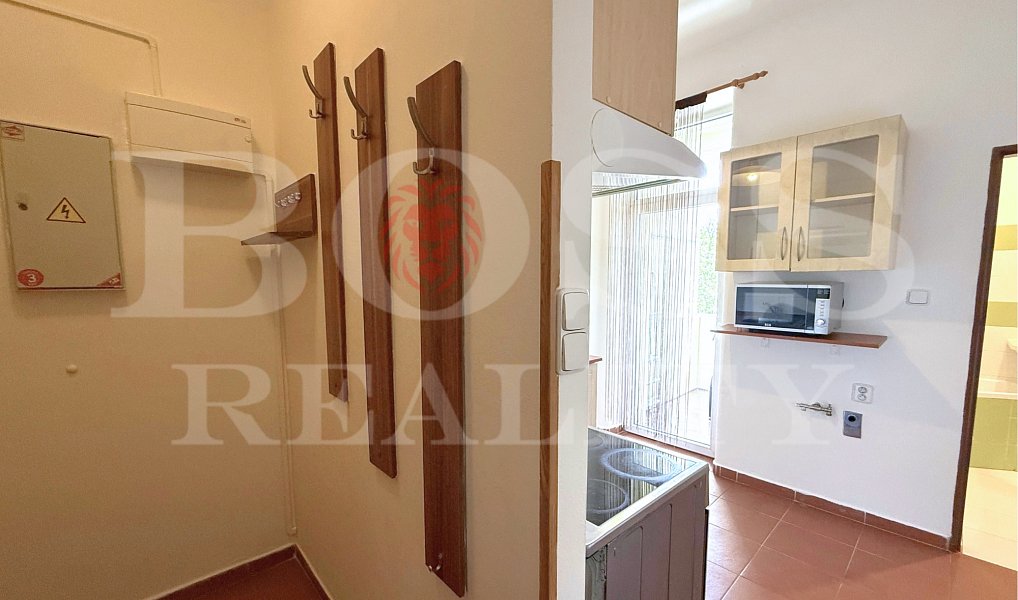 Prodej bytu 2+1 52 m², Plzeň – náhled fotky 4