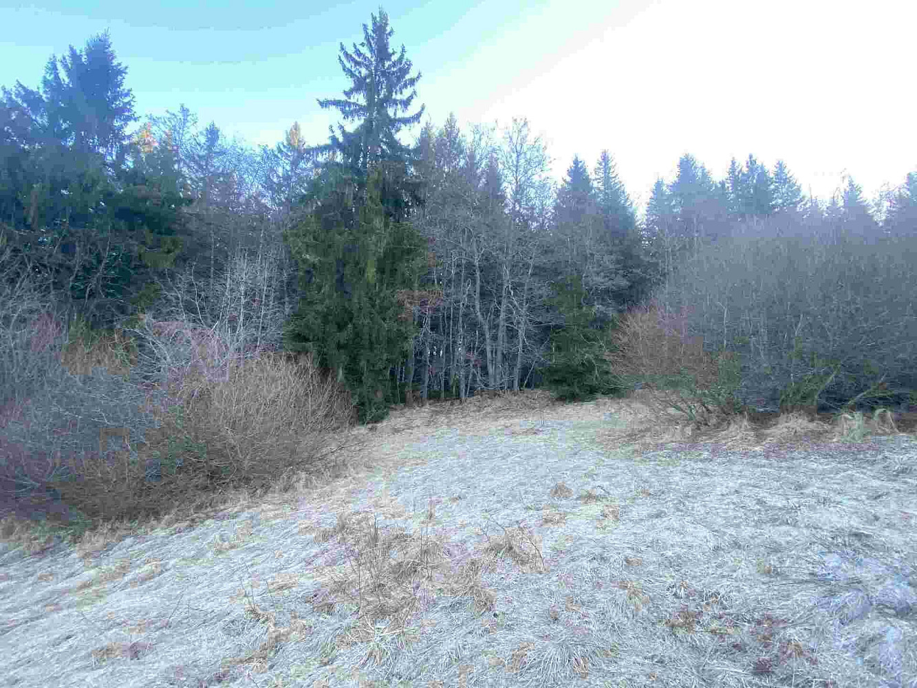 Prodej pole 2 377 m² – fotografie 2