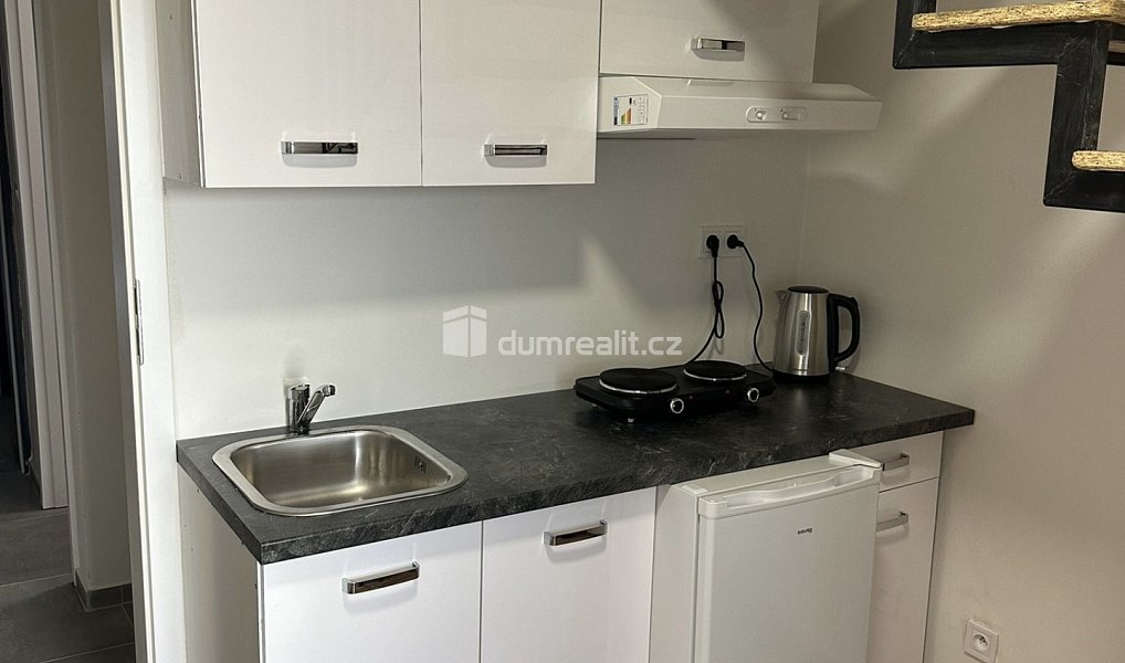 Pronájem bytu 5+kk 14 m², Praha – náhled fotky 3