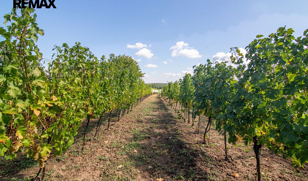 Prodej stavebního pozemku 1 623 m², Tvrdonice – náhled fotky 3