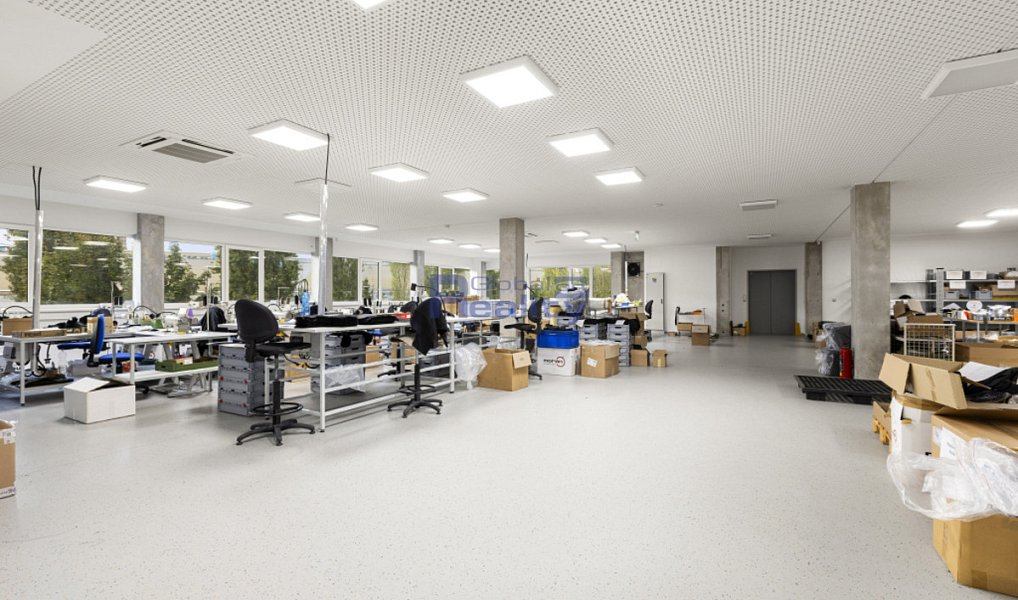 Prodej výrobních prostor 2 133 m², Hradec Králové – náhled fotky 10