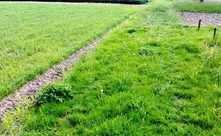 Prodej skladovacích prostor 6 000 m², Jižní, Mohelnice, okres Šumperk