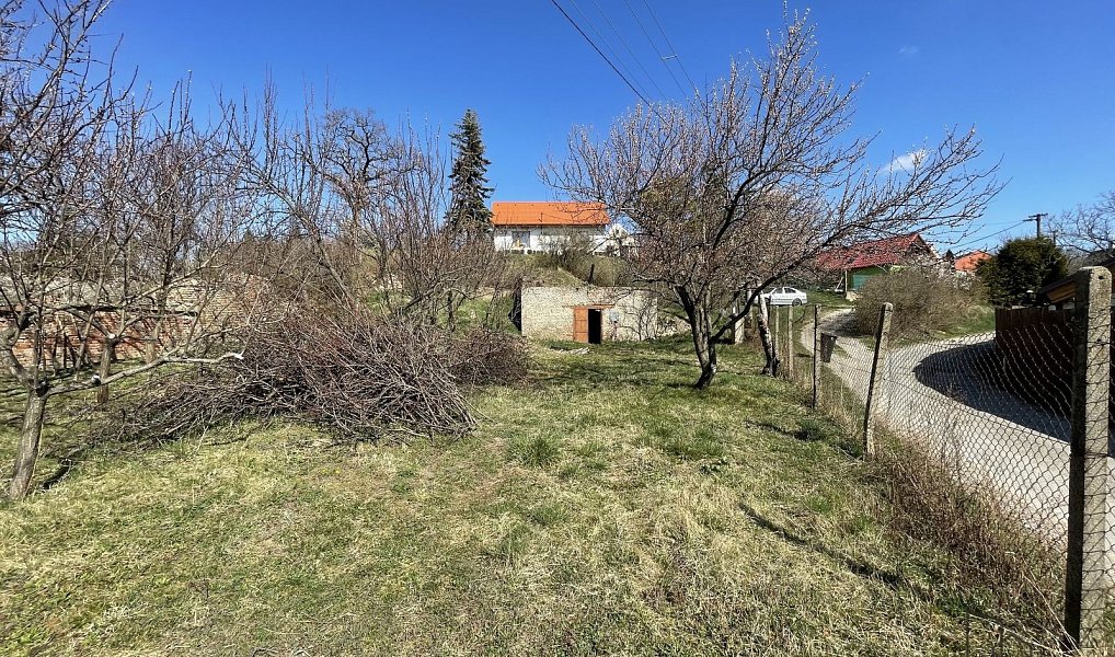 Prodej vinného sklepa s pozemkem (663 m2) ve Valticích-část Úvaly., Valtice – fotka 1 z 29
