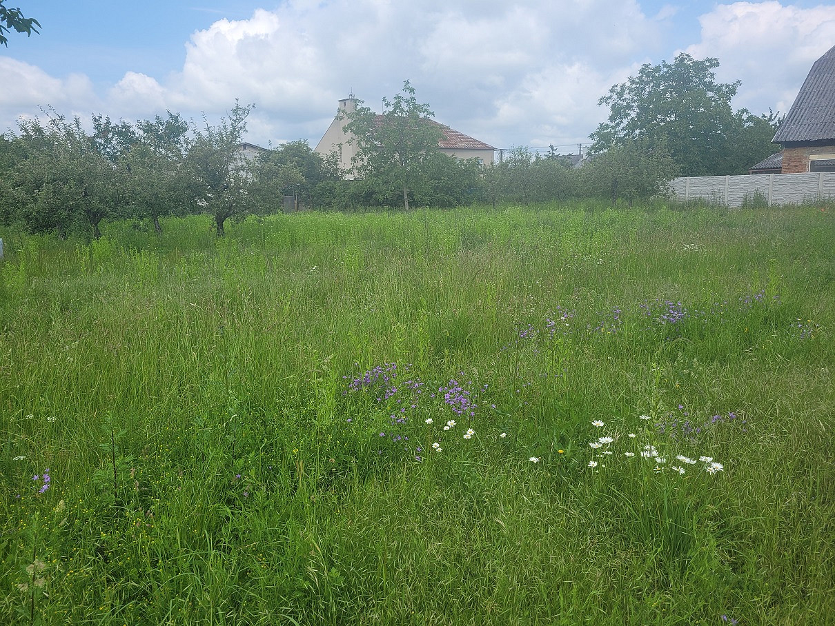 Prodej stavebního pozemku 1 890 m² — photo 2