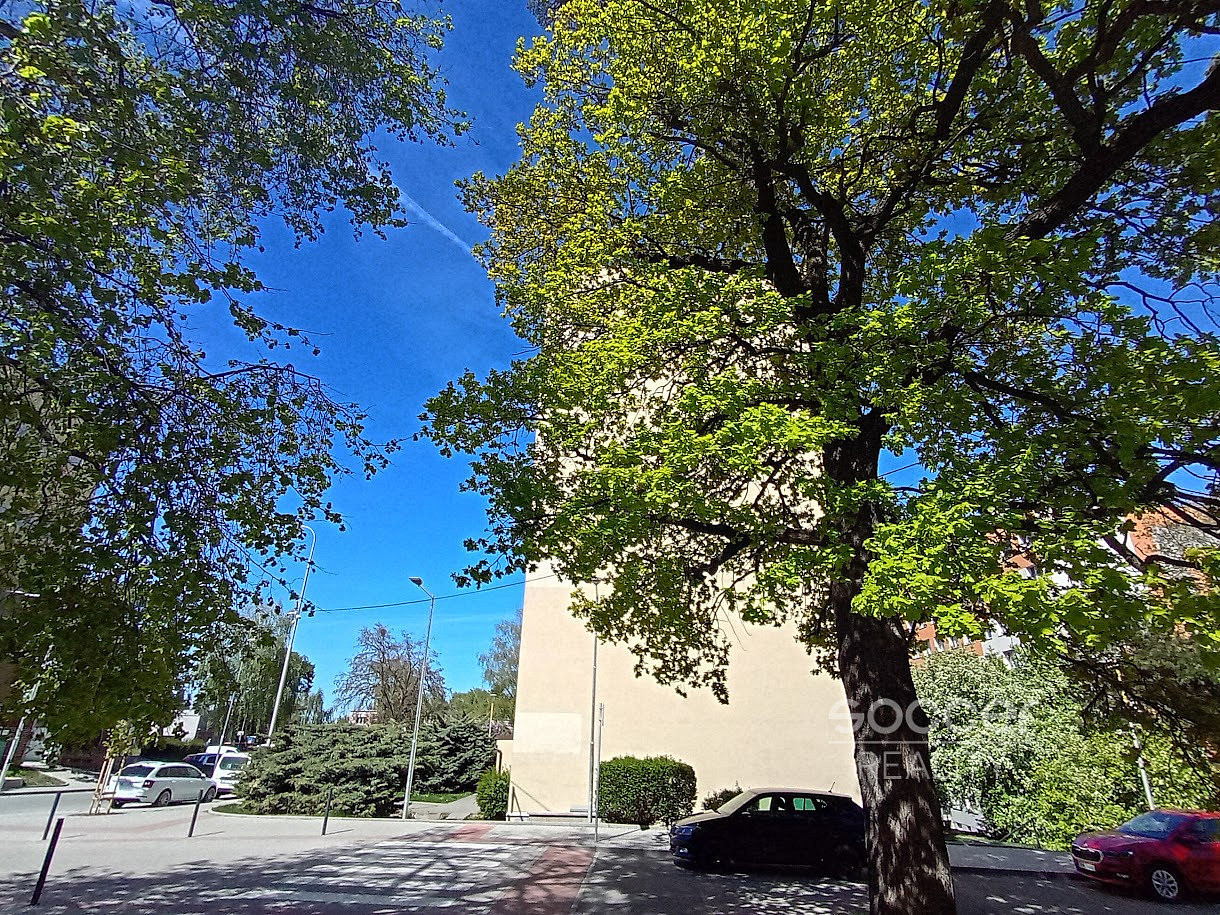 Fotka 7 z 11