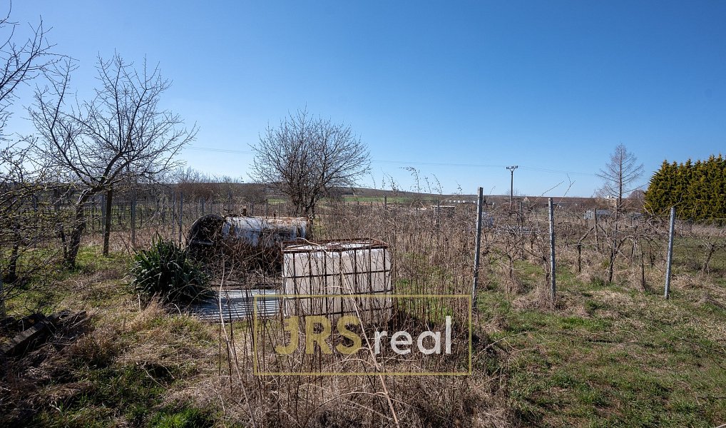 Prodej domu 490 m² s pozemkem 1 938 m², Dolní Dunajovice – náhled fotky 14