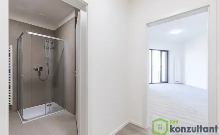 Pronájem bytu 1+kk 27 m², Gorkého, Brno - Veveří