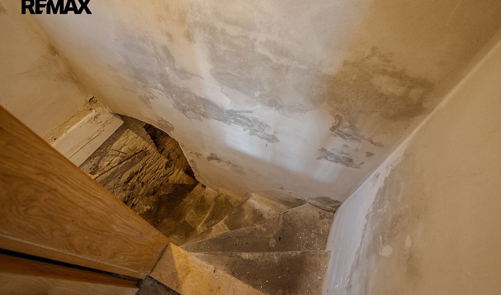 Prodej domu 131 m² s pozemkem 398 m², Pavlov – náhled fotky 24