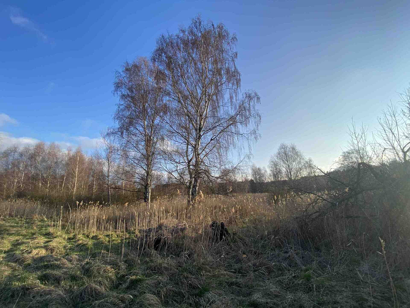 Prodej pole 2 866 m² – pohled 4