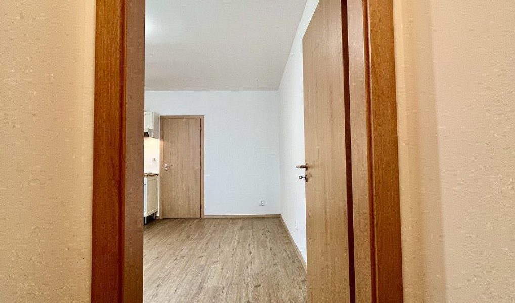 Pronájem bytu 1+kk 27 m², Ostrava – náhled fotky 12