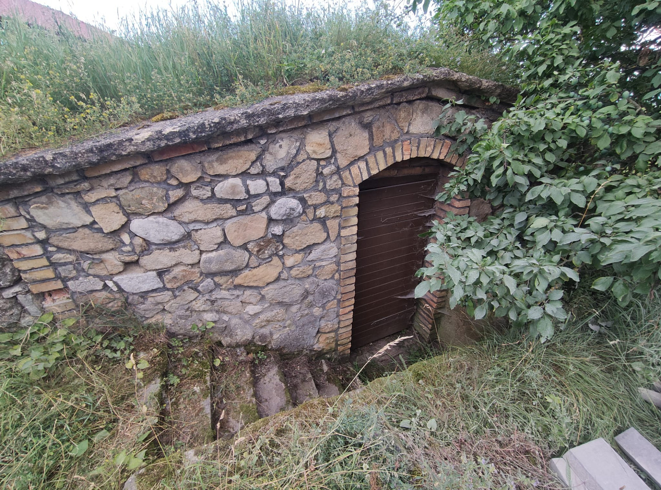 Prodej vinného sklepa 14 m² vrbice, okres břeclav