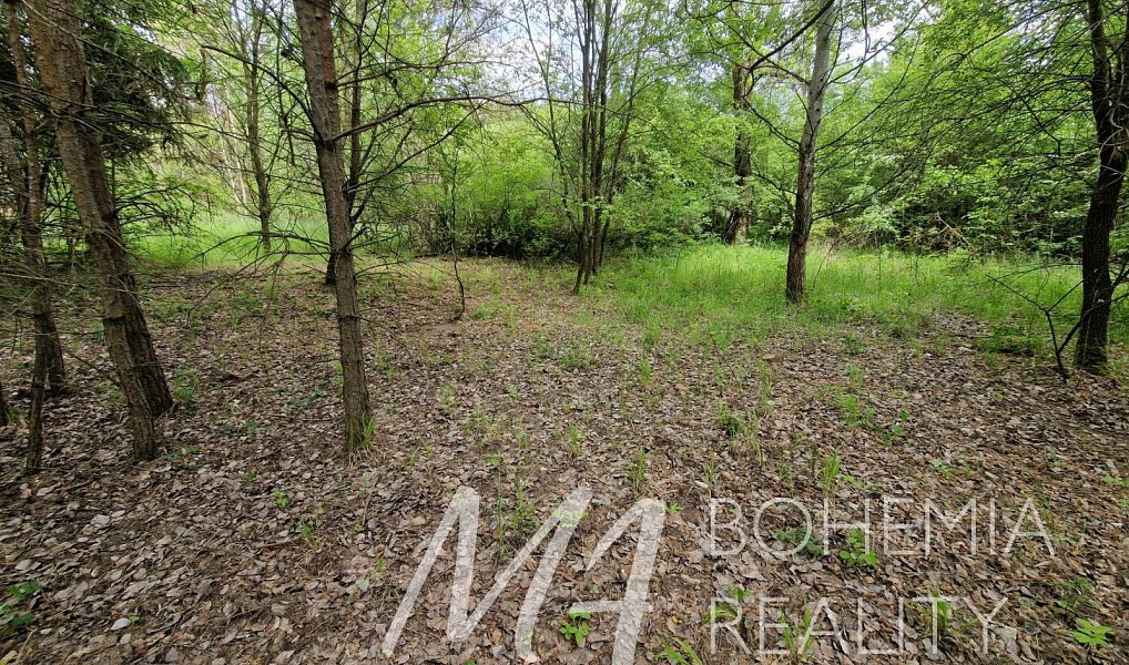Prodej pozemku 15 564 m², Jiřice – náhled fotky 11