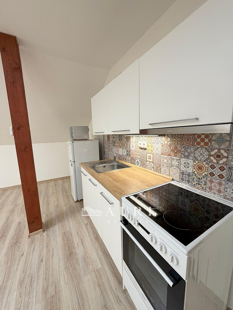 Pronájem bytu 1+kk 58 m² — photo 2