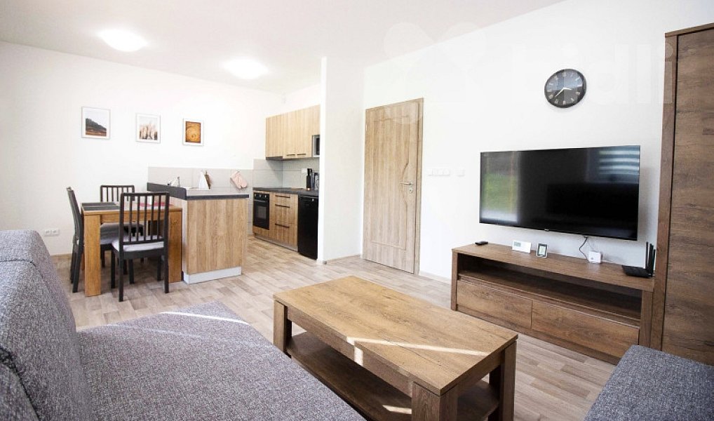 Prodej bytu 2+kk 45 m², Červená Voda – náhled fotky 4
