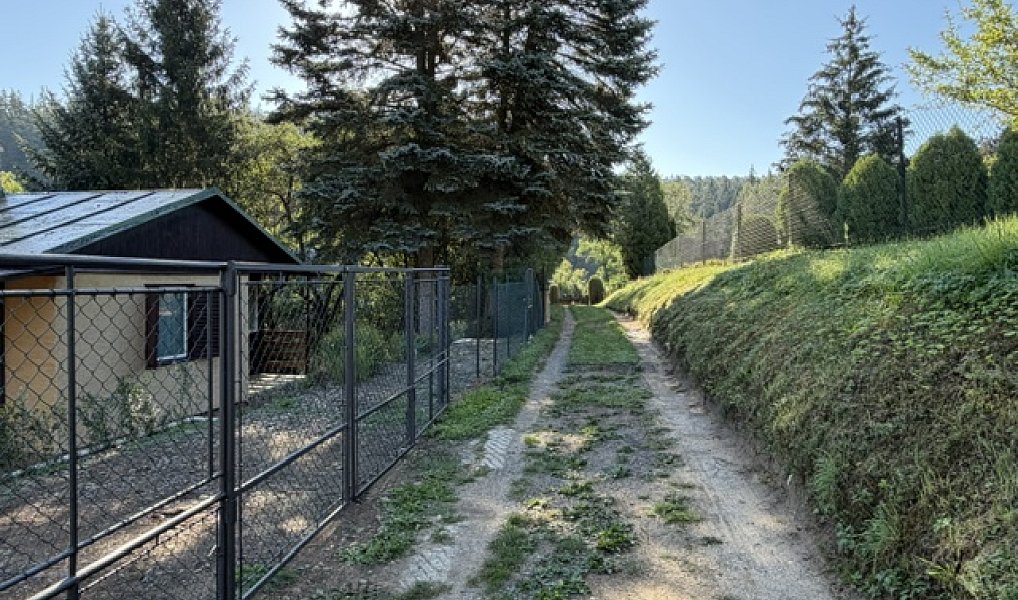 Prodej chaty/chalupy 50 m² s pozemkem 424 m², Městečko – náhled fotky 24