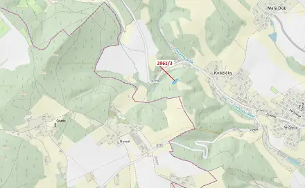Dražba lesa 1 217 m², Český Dub
