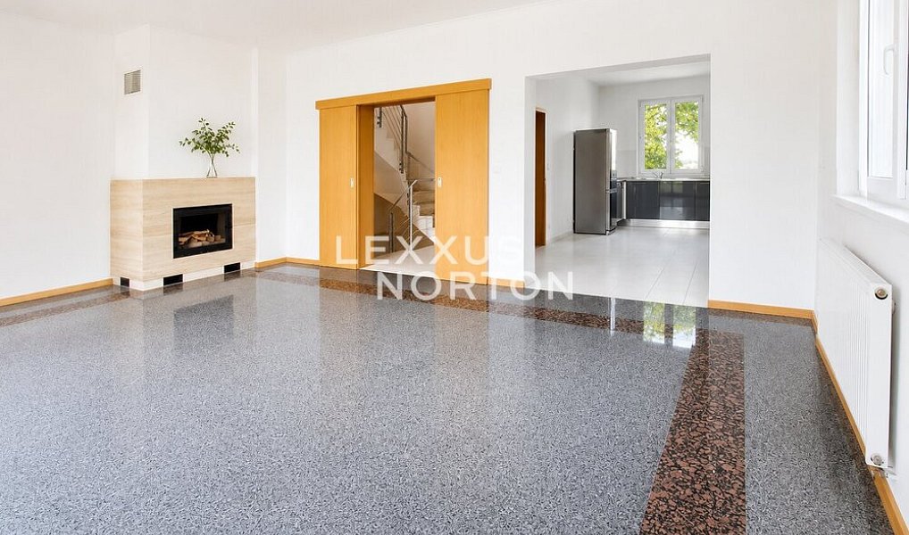 Pronájem domu 300 m² s pozemkem 1 000 m², Praha – náhled fotky 3