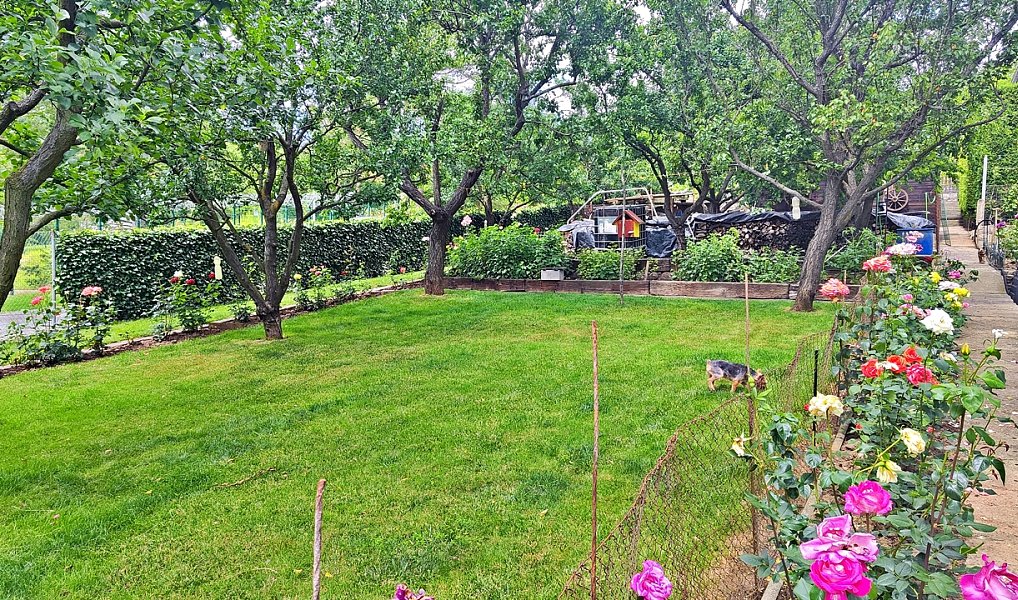 Prodej chaty/chalupy 61 m² s pozemkem 899 m², Drásov – náhled fotky 24
