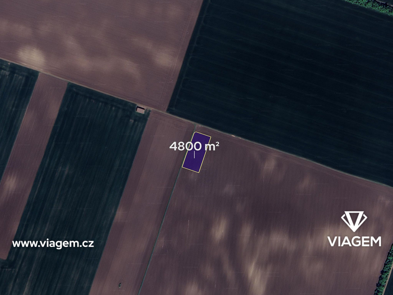 Prodej pole 4 800 m² – fotografie 2