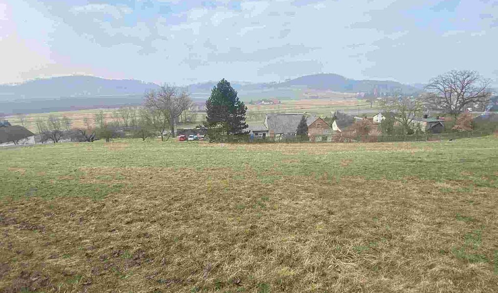 Prodej pozemku 7 394 m², Linhartice – náhled fotky 2
