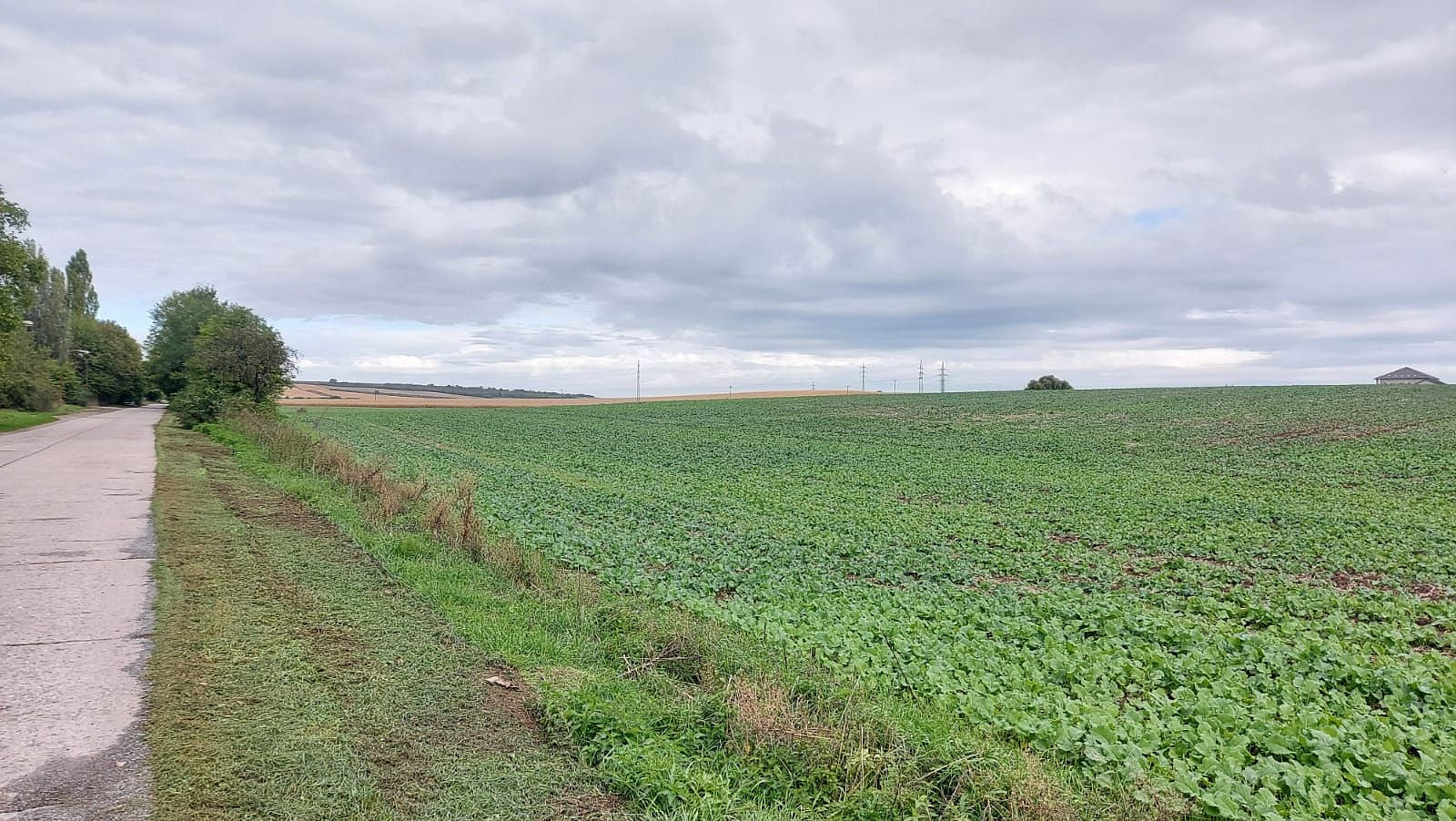 Prodej stavebního pozemku 25 000 m² — photo 2