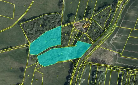 Prodej lesa 19 276 m², Rychnovek - Dobříč