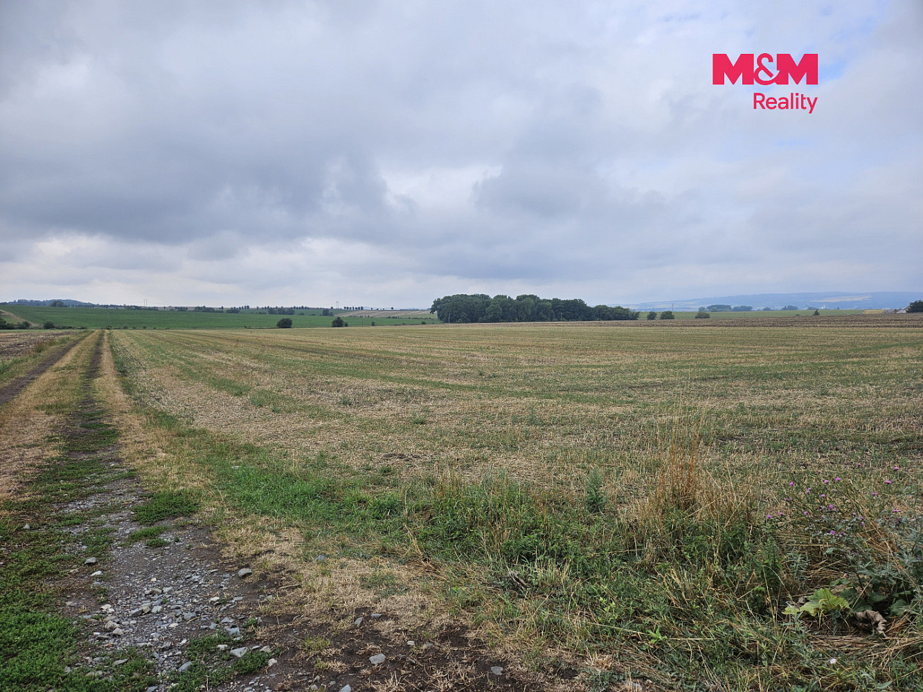 Prodej pole 11 543 m² – fotografie 4