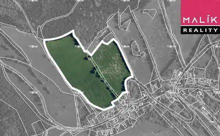 Prodej louky 69 991 m², Stráž nad Ohří - Srní, okres Karlovy Vary
