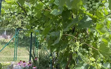 Prodej zahrady 363 m², Kroměříž
