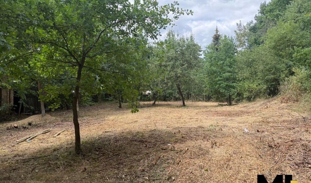 Prodej skladovacích prostor 340 m², Horšovský Týn – náhled fotky 5