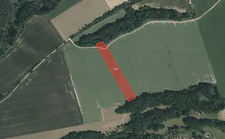Prodej pole 5 278 m², Soběslav - Nedvědice, okres Tábor