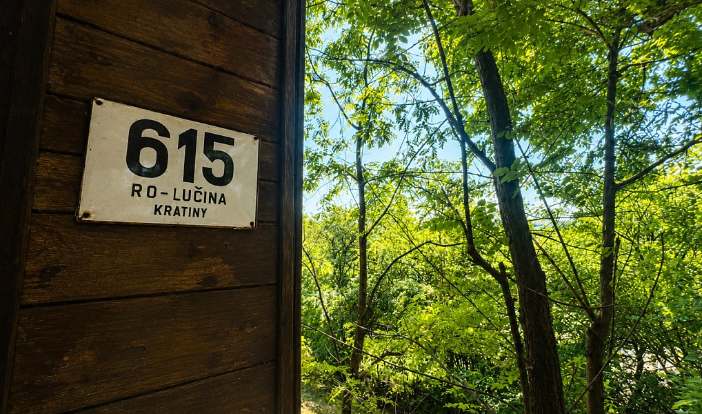 Prodej chaty/chalupy 21 m² s pozemkem 358 m², Tvarožná Lhota – náhled fotky 12