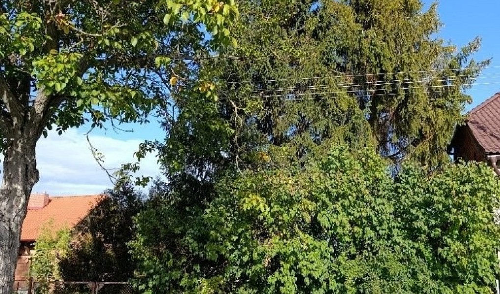 Prodej stavebního pozemku 1 232 m², Hluchov – náhled fotky 16