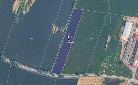 Prodej louky 7 295 m², Borkovice, okres Tábor