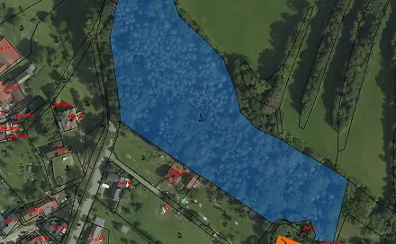 Prodej lesa 943 m², Prosetín, okres Žďár nad Sázavou
