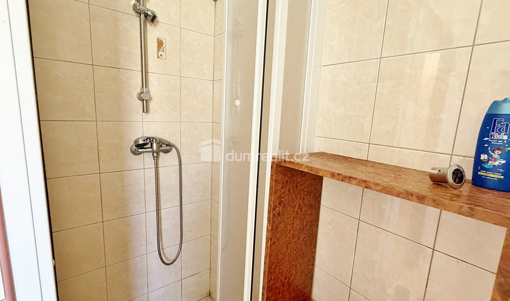 Prodej domu 464 m² s pozemkem 464 m², Borovnice – náhled fotky 5