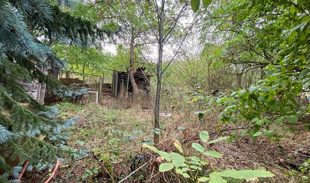 Prodej domu 200 m² s pozemkem 3 609 m², Lubenec – náhled fotky 18